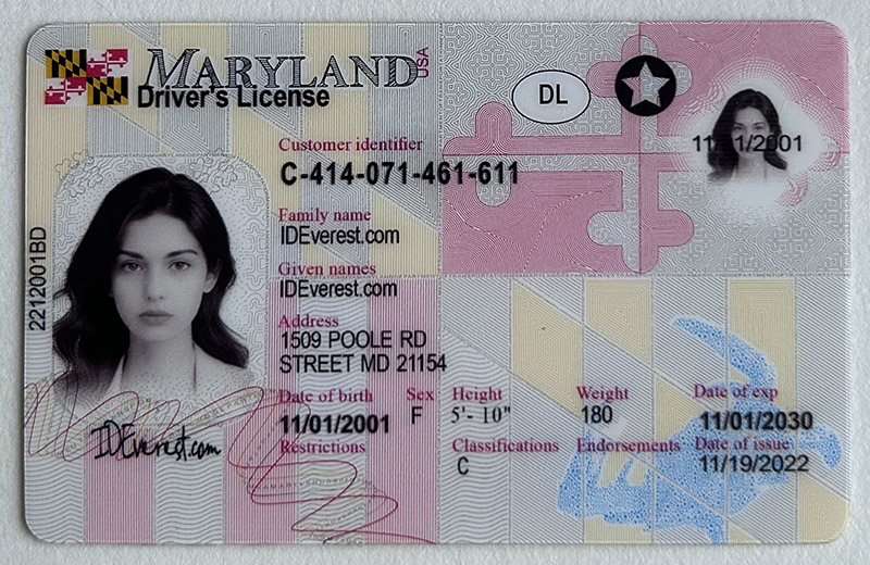 100% Recognizable Maryland Fake ID Card