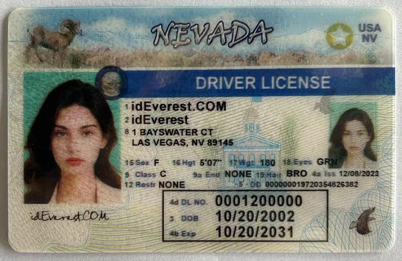 Nevada Fake ID Card 