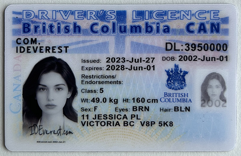 Experience Freedom: Choose ideverest for the Best Fake ID Card in Canada