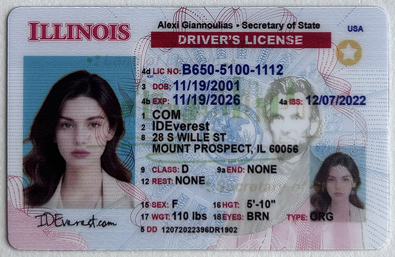 Scannable Fake Illinois Driver's License