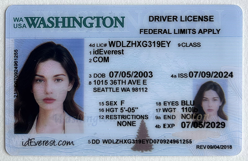 Scannable Fake Washington Driver License